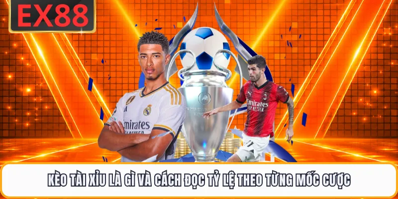 Kèo Tài Xỉu Là Gì Và Cách Đọc Tỷ Lệ Theo Từng Mốc Cược