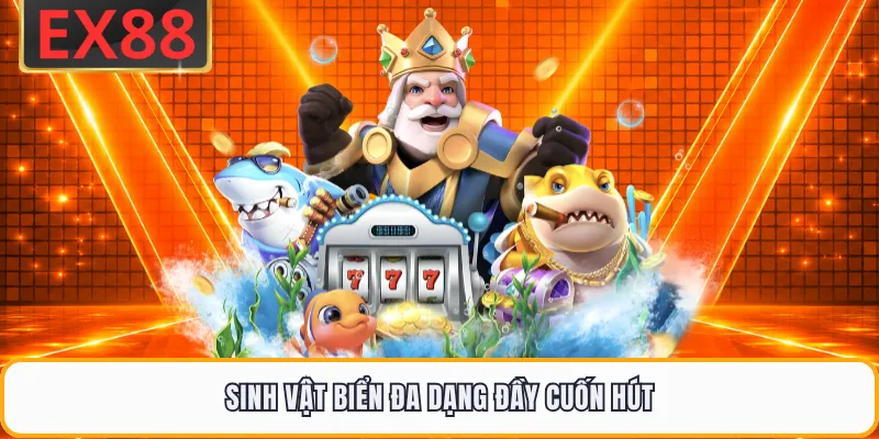 Sinh vật biển đa dạng đầy cuốn hút