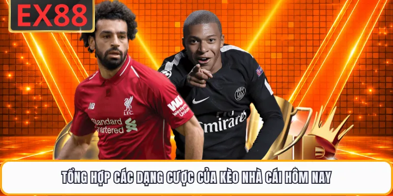 Tổng hợp các dạng cược của kèo nhà cái hôm nay